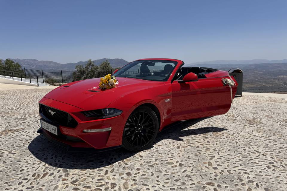 Mustang Gt