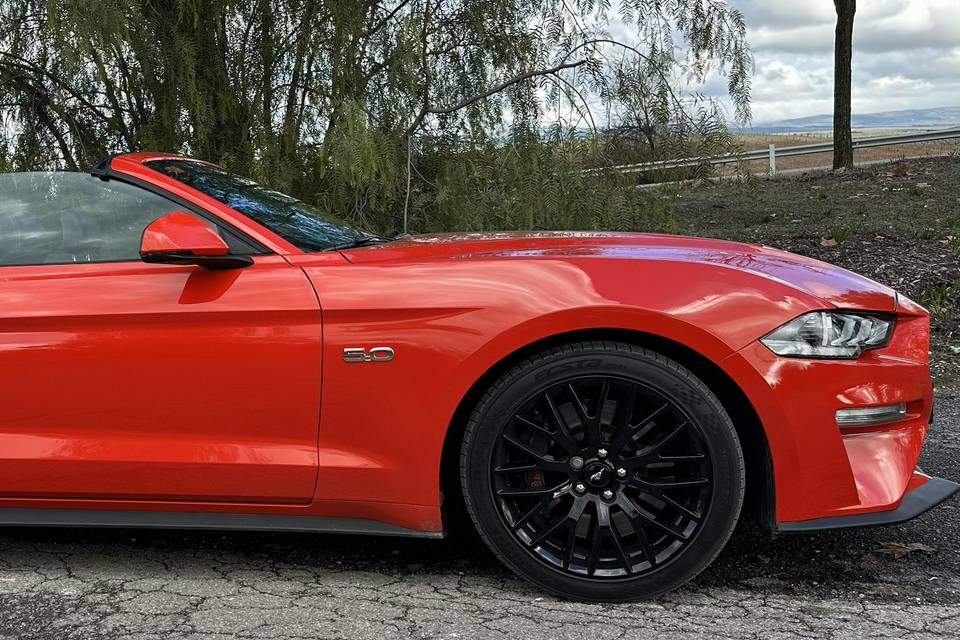 Mustang Gt