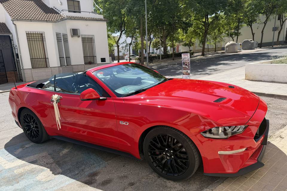 Mustang Gt