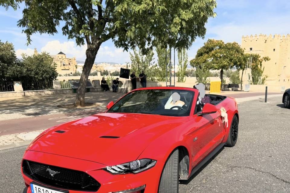 Mustang GT