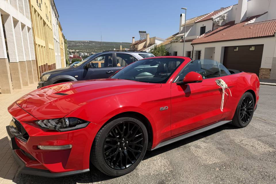 Mustang Gt