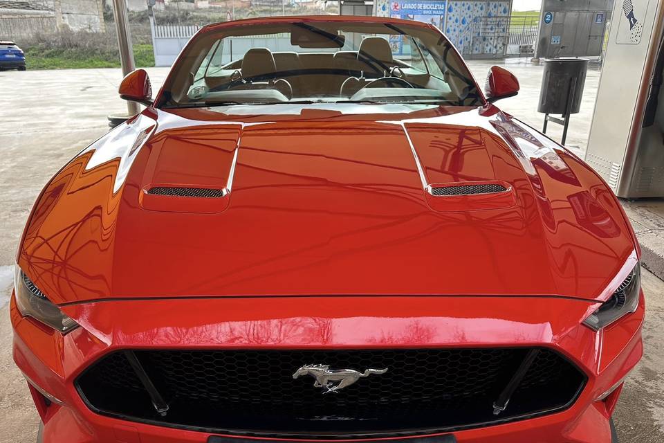 Mustang Gt