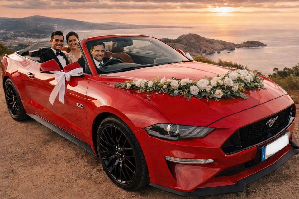 Francisco Mustang Gt