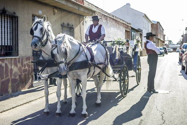 Nuestros carruajes