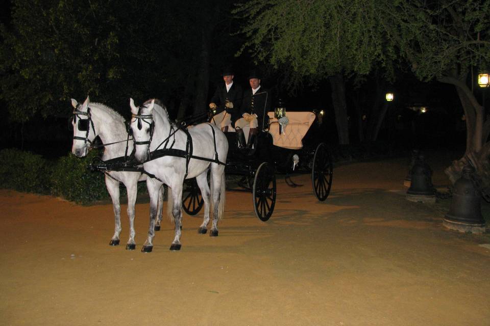 Coches de caballo