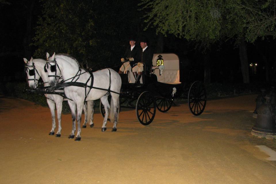 Coches de caballos