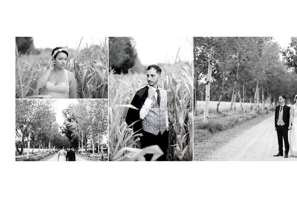 Postboda