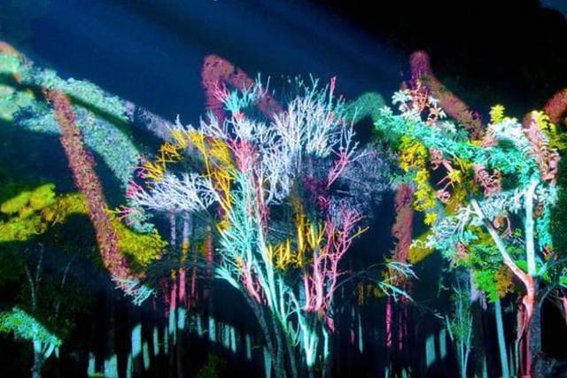Videomapping Sobre Nanturaleza