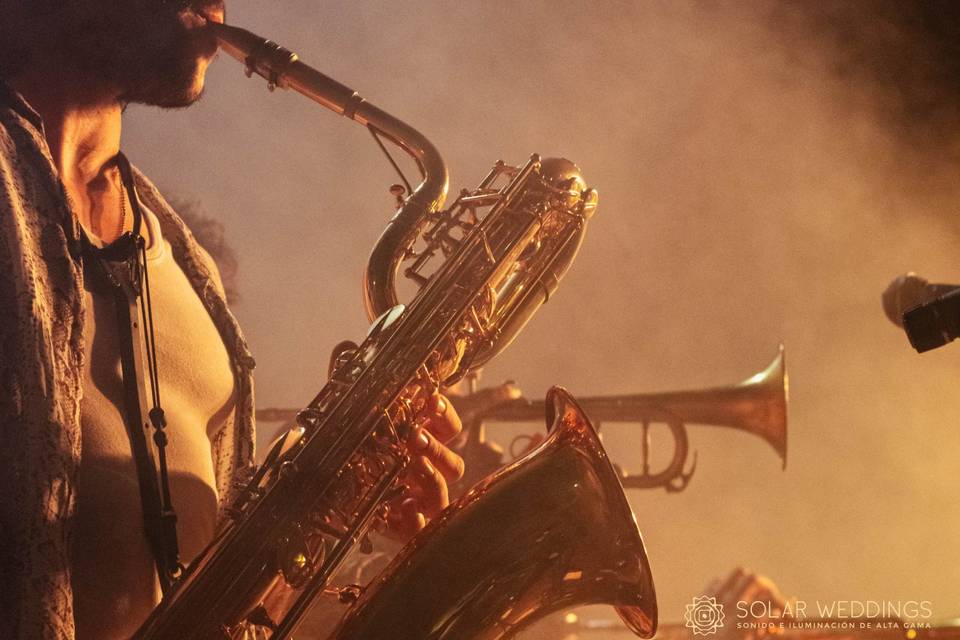 Musica en vivo
