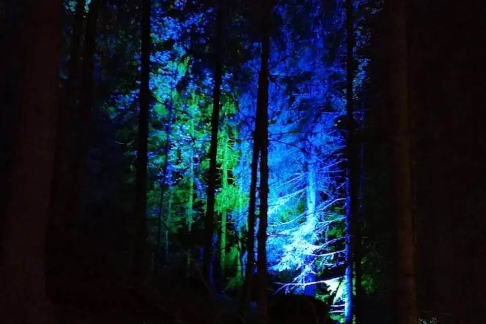 Iluminación Ambiente Natural