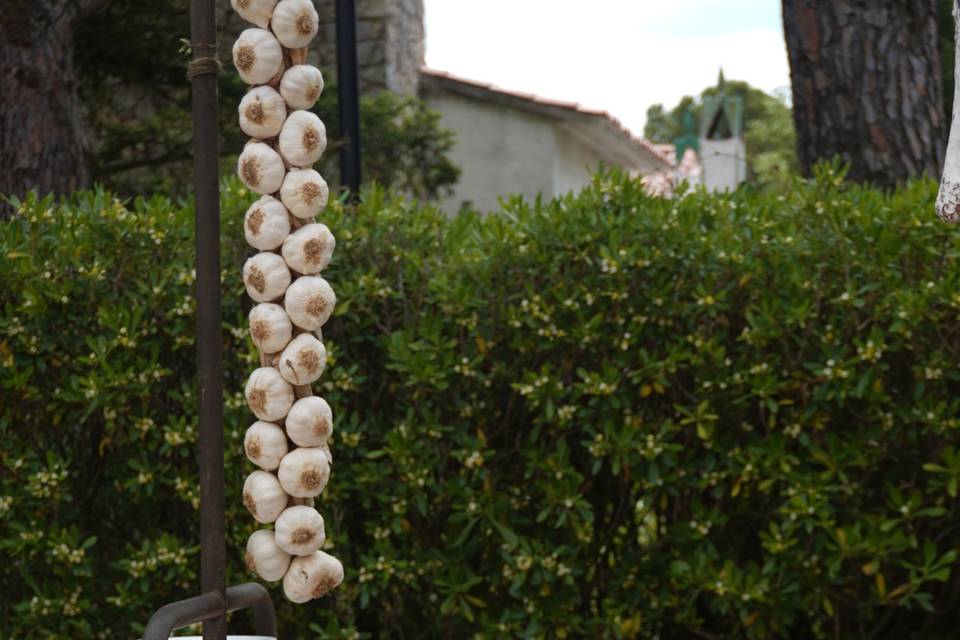 Aperitius