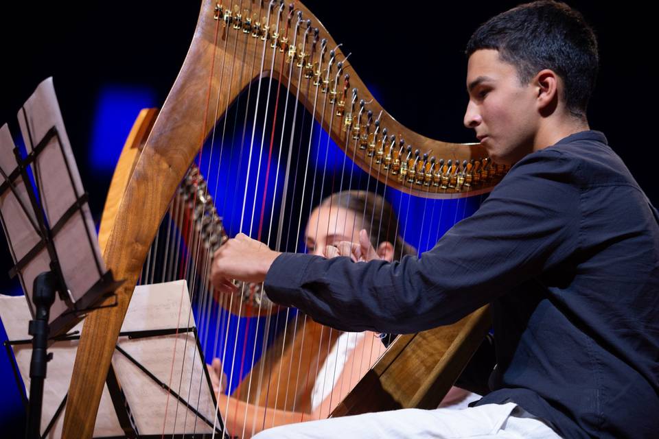 Concierto en conjunto