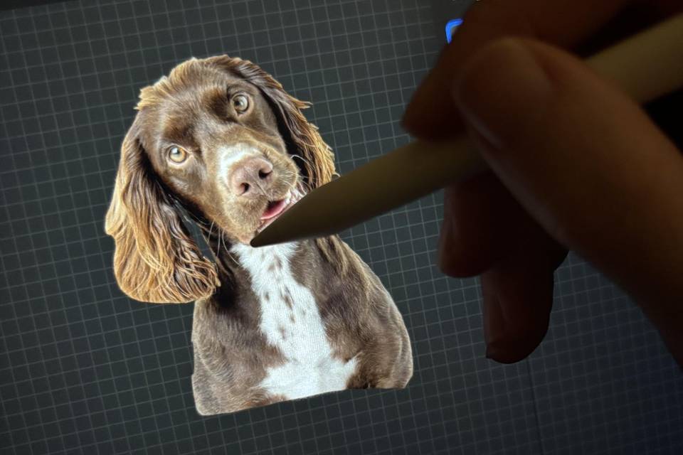 Proceso diseño mascota