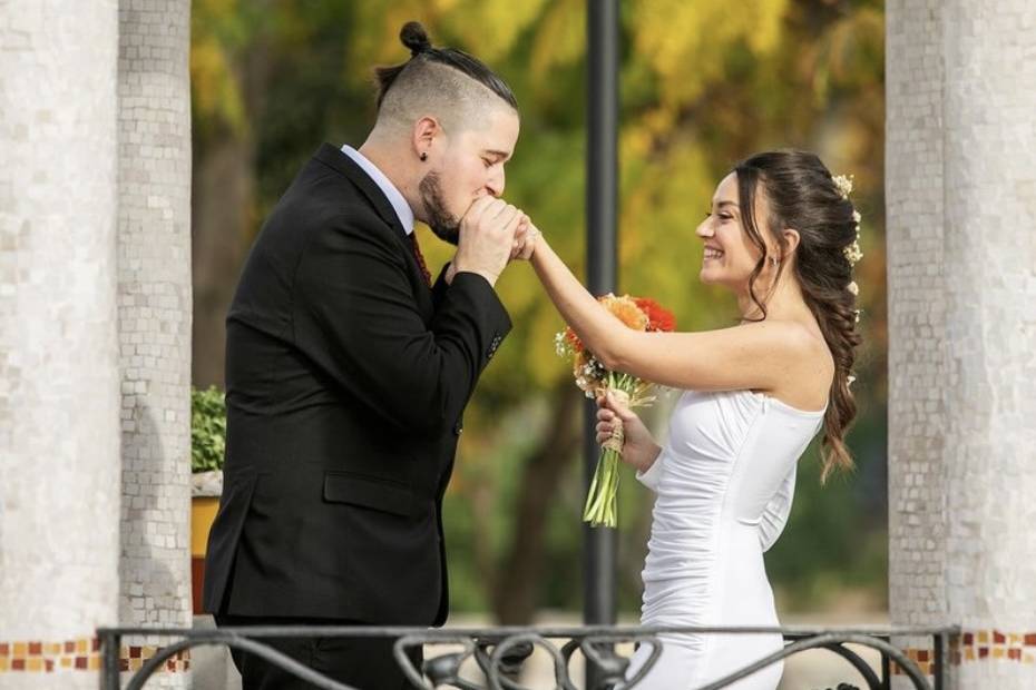 Novios