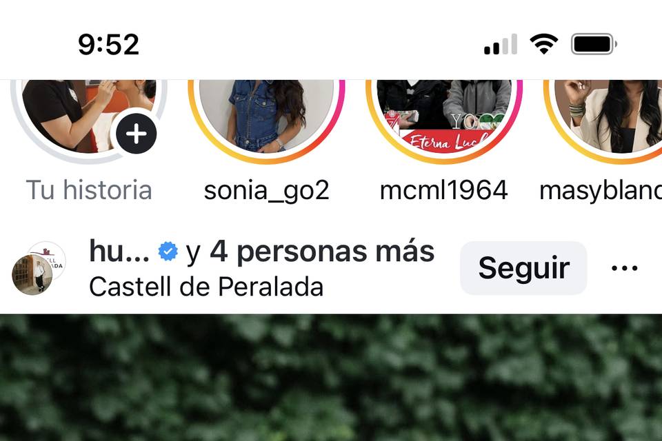 Novios