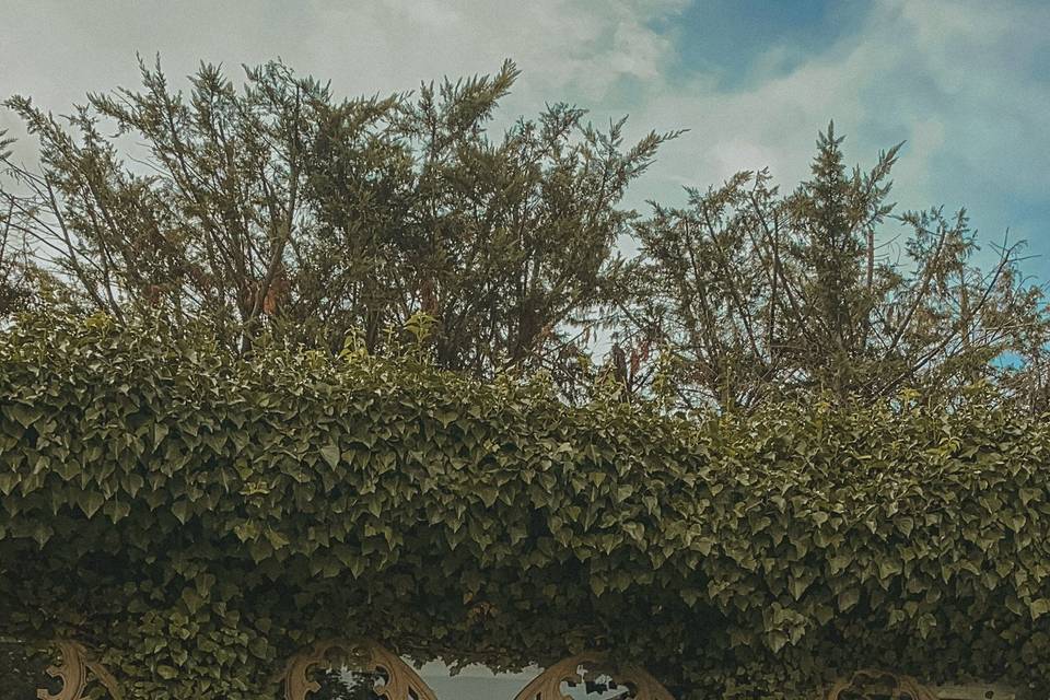 Bodas - El Peregrino