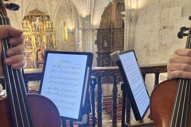 Violín y viola