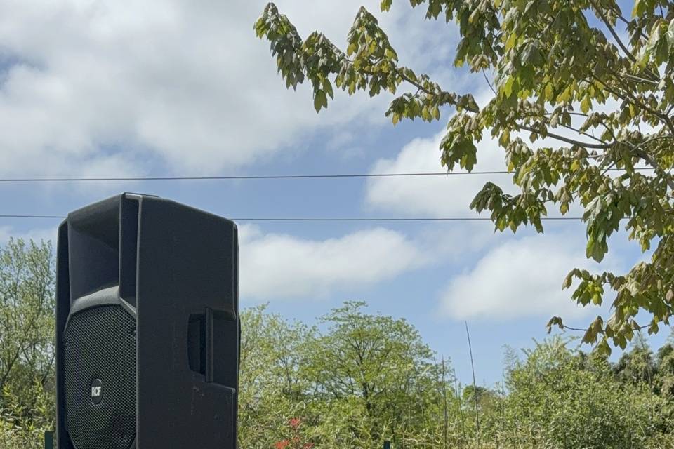 Violín eléctrico