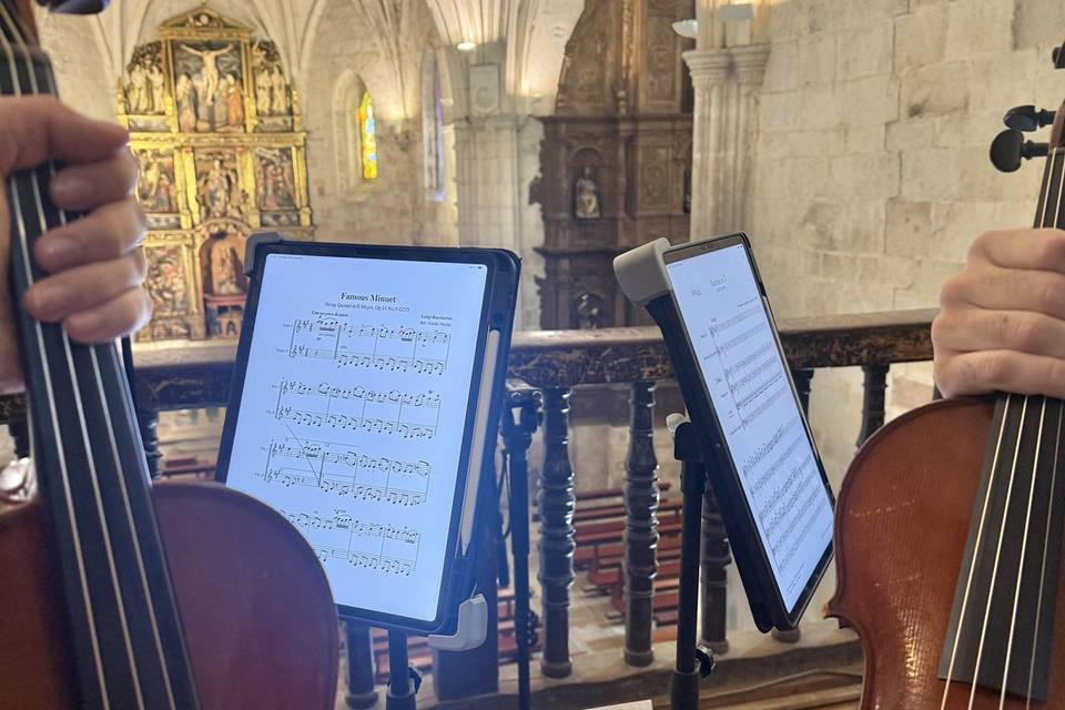 Violín y viola