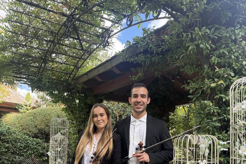 Violín y viola