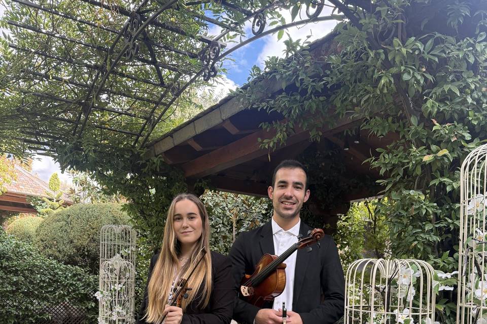 Violín y viola