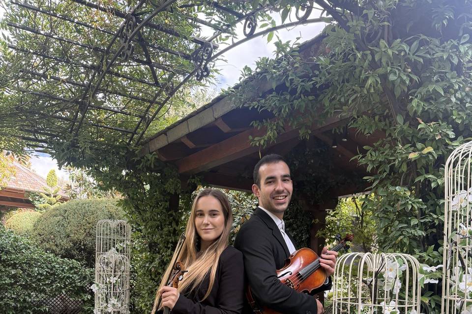 Violín y viola