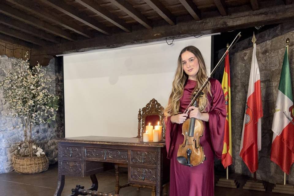 Violín