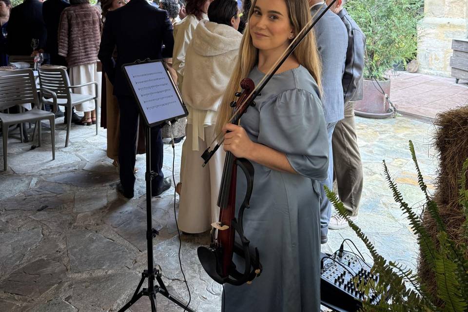 Violín eléctrico en cóctel