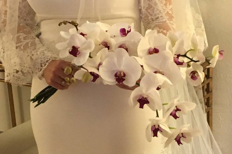 Ramo de novia de orquídeas