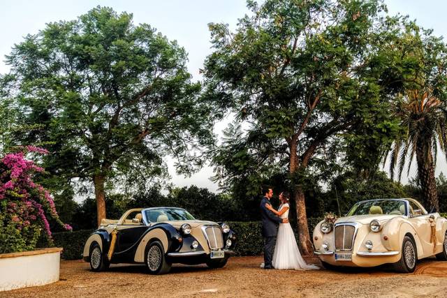 Anamore Wedding Planner & Events