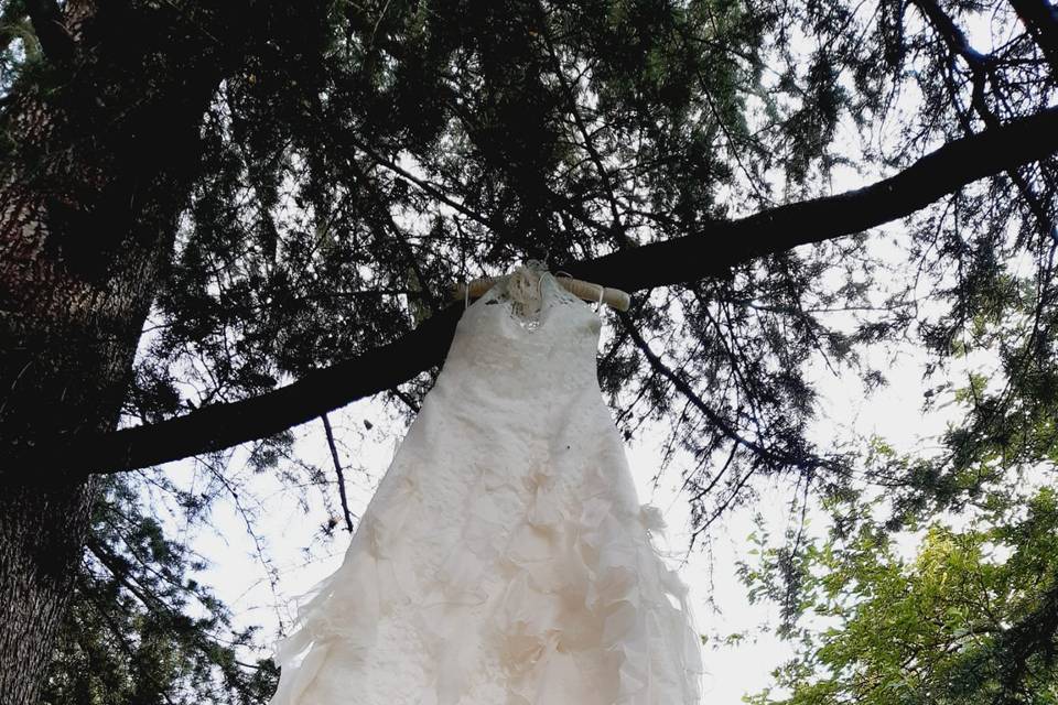 Anamore Wedding Planner & Events