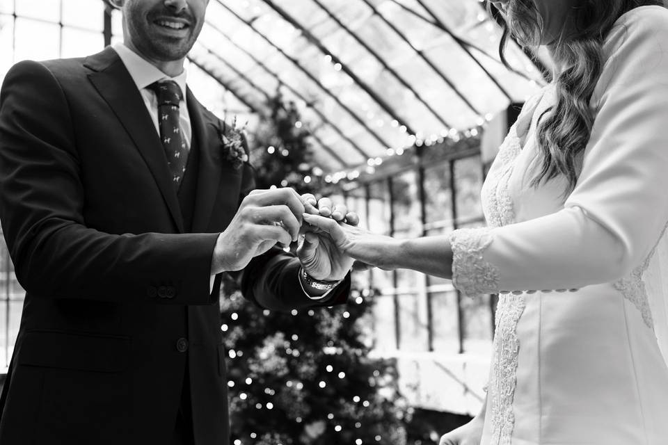 Bodas de navidad