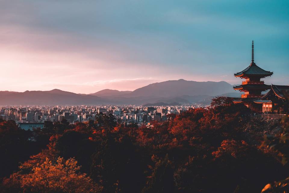 Japón