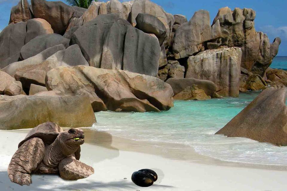 Seychelles