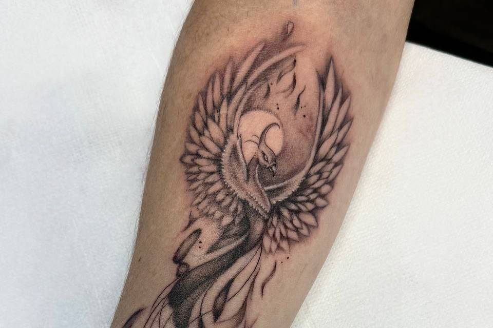Fénix