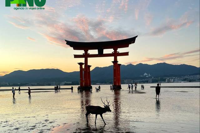 Japón