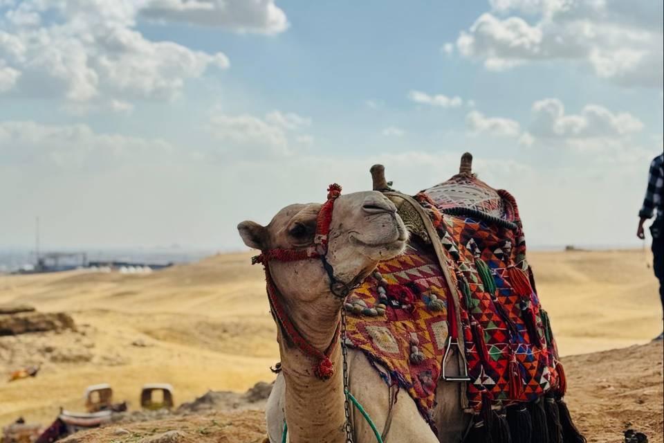 Egipto