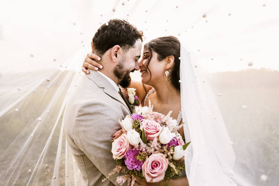 Novios