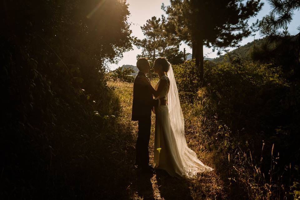 Novios