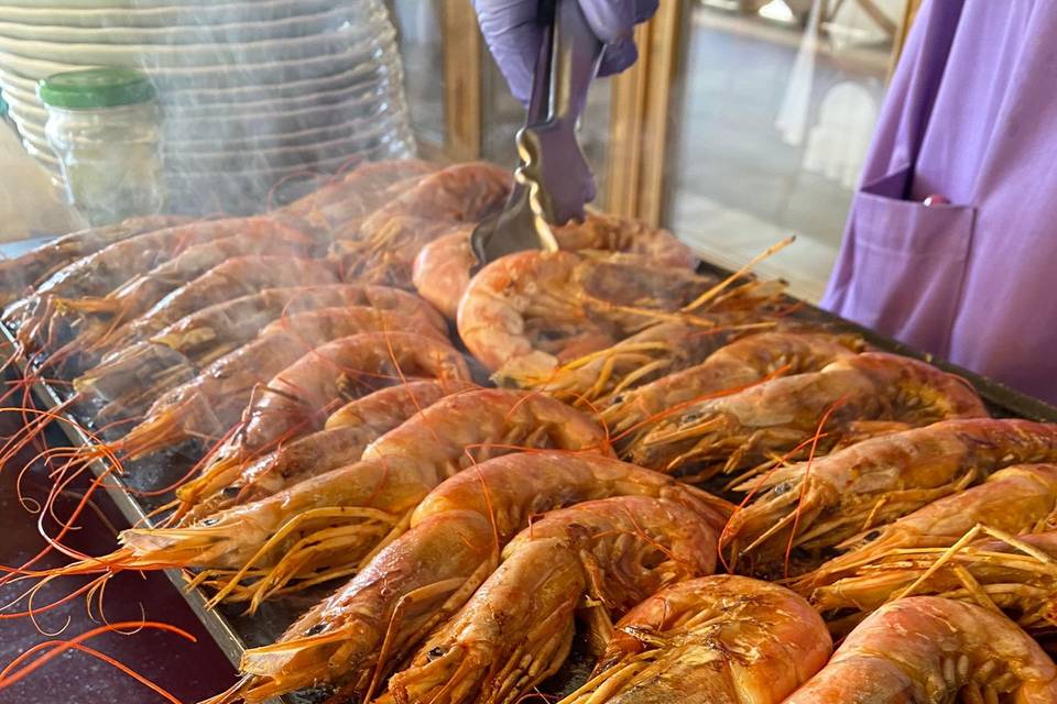 Catering Luna Nueva