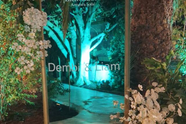 Decoracion