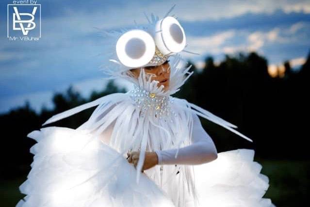 Perfomance Búhos blancos