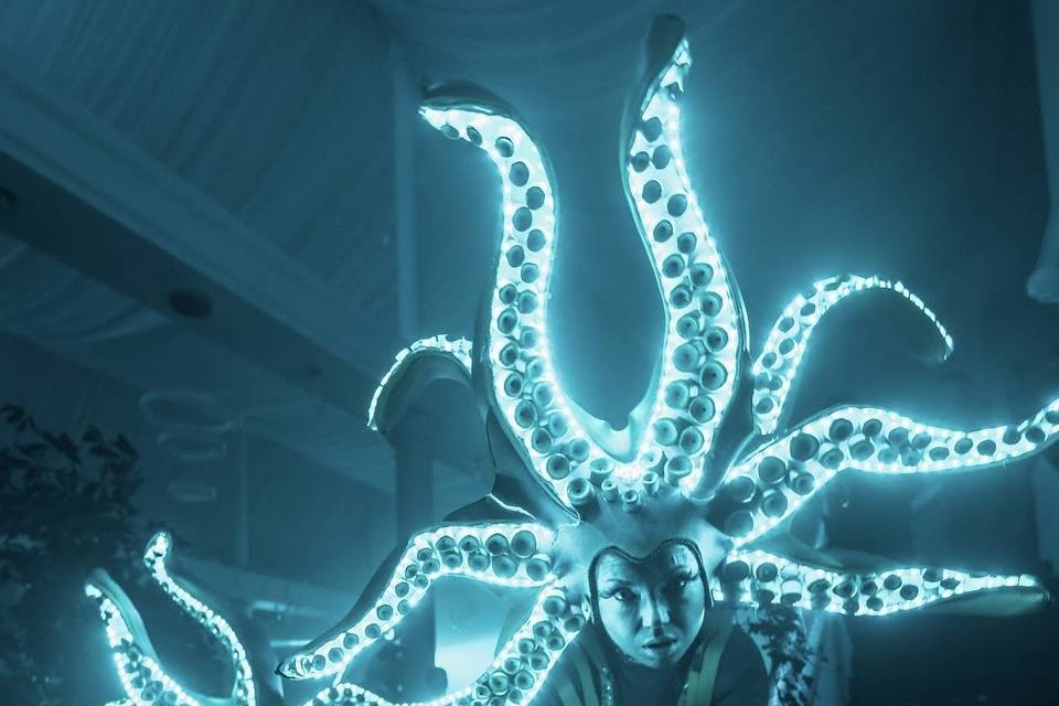 Octopuses