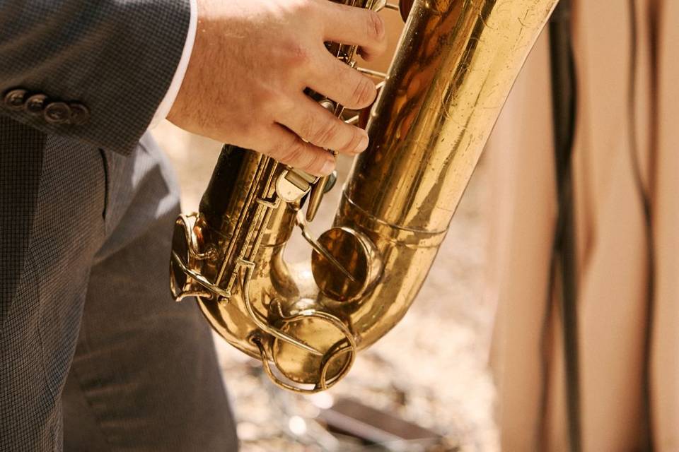 Saxofonista elegante