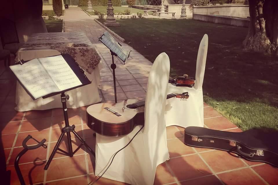 Preparativos