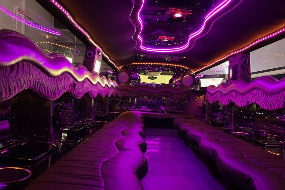 Interior Hummer Rosa