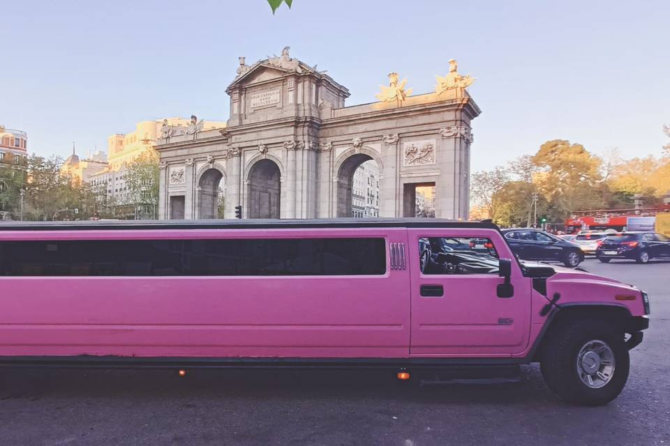 Hummer Rosa