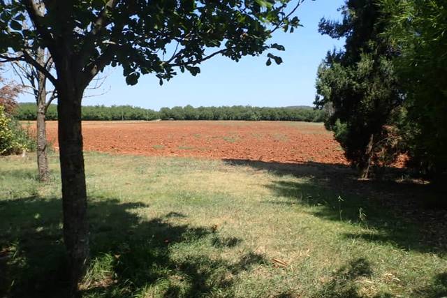 Rodeada de campos y naturaleza