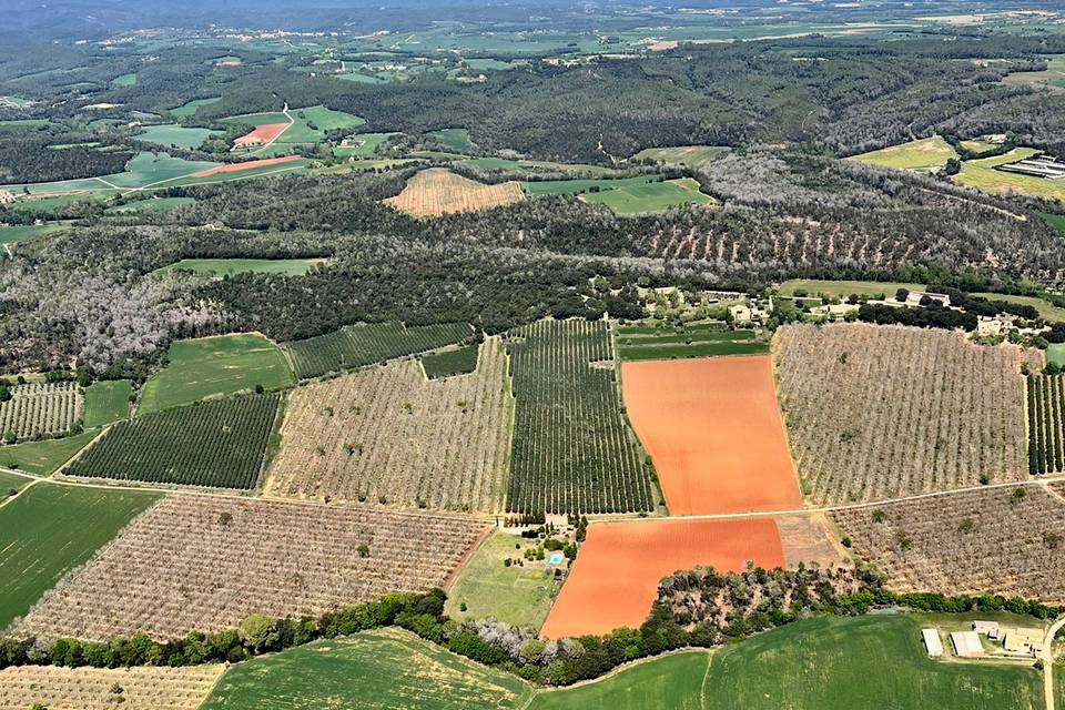 Tu boda en medio del campo