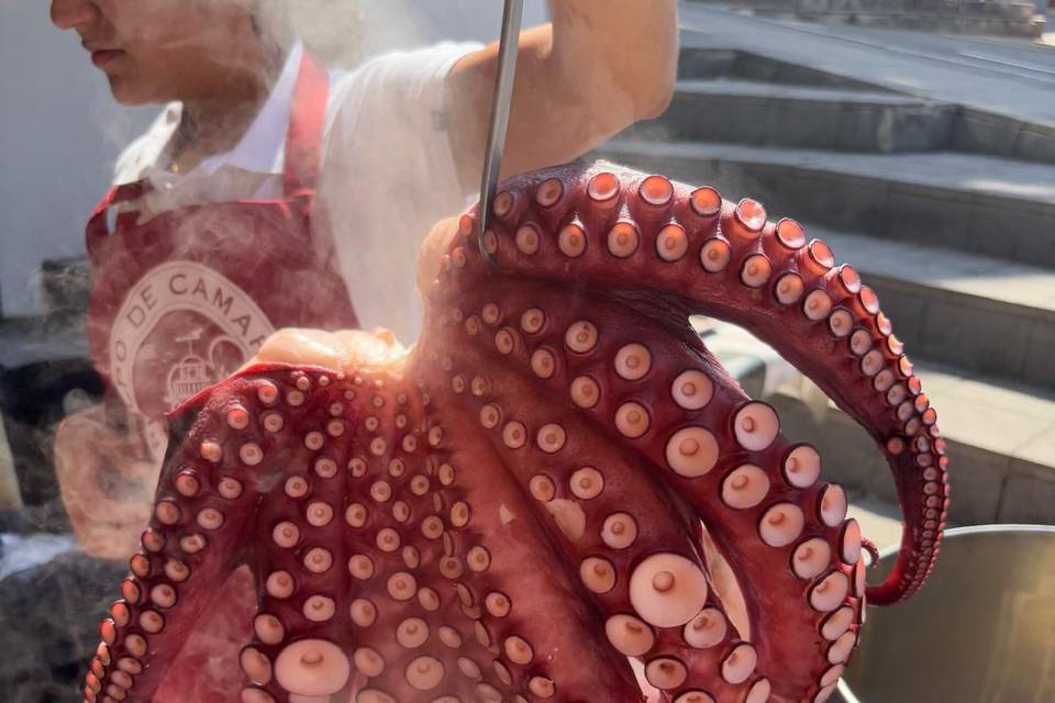 Pulpo de calida